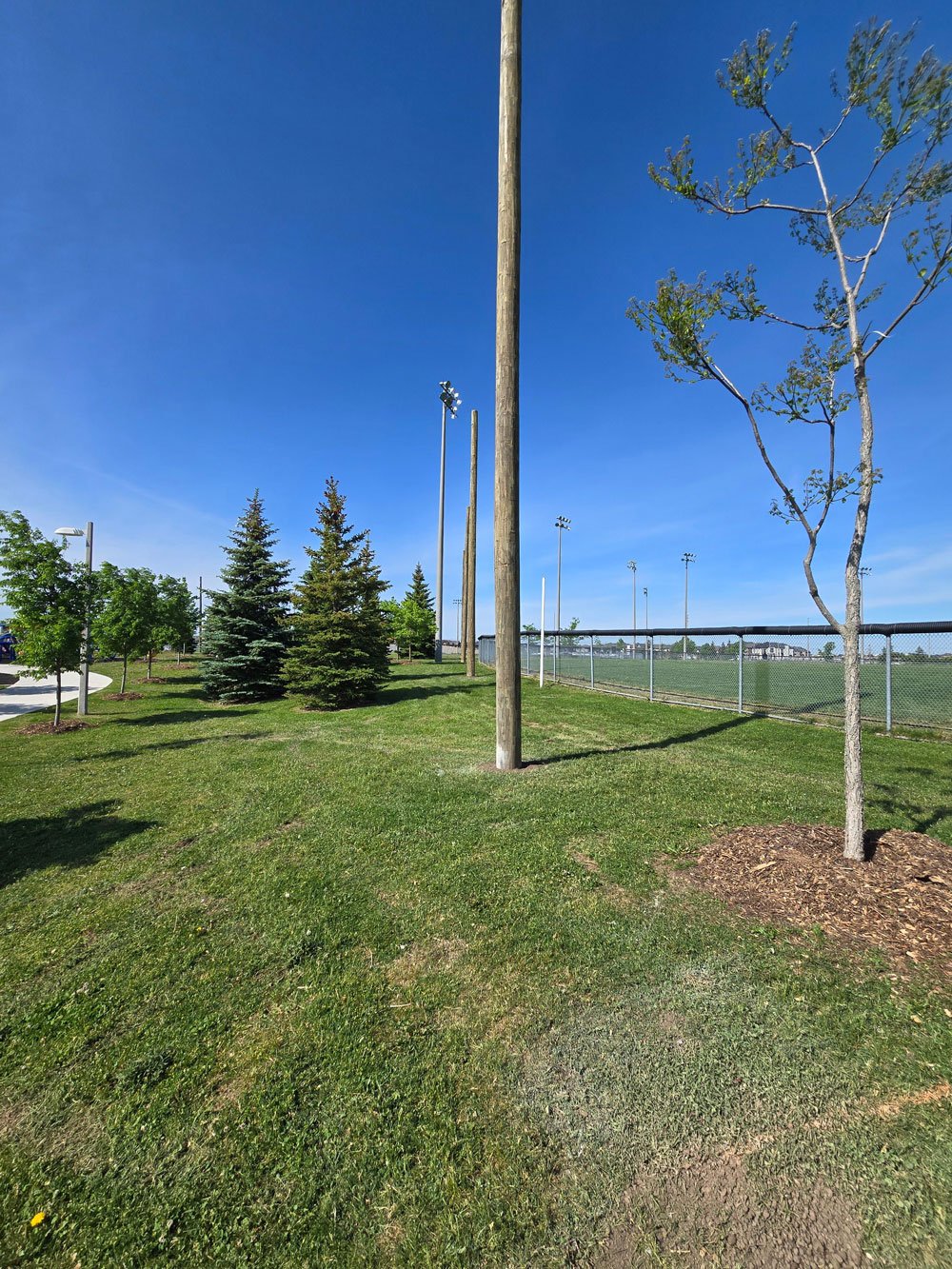 Brampton-Poles-installed