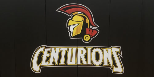 Central-Hastings-School-Centurions-Wall-Padding-Sport-Systems