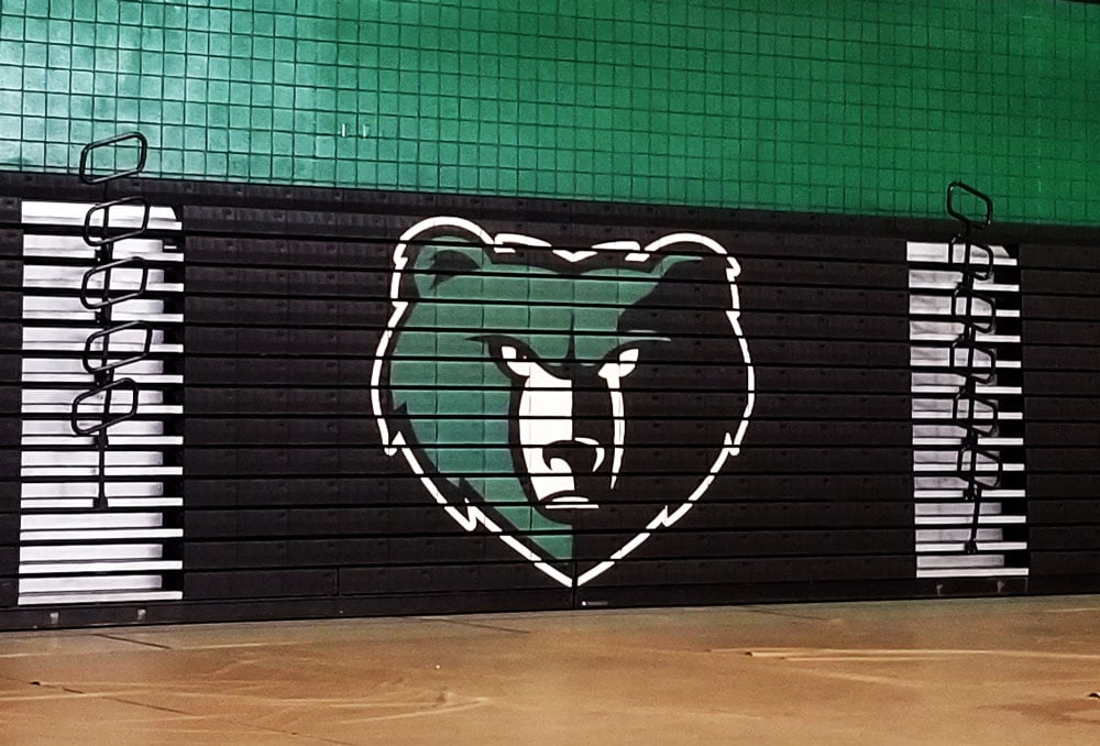 basha-bear-gameday-custom-graphic