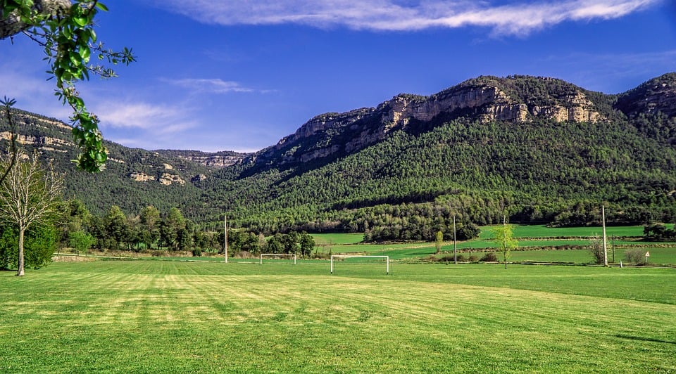 green-football-field