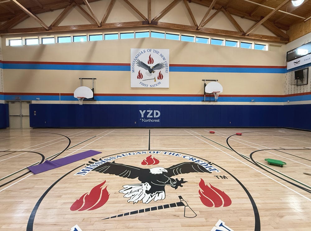 gym-wall-padding-lloyd-s-king